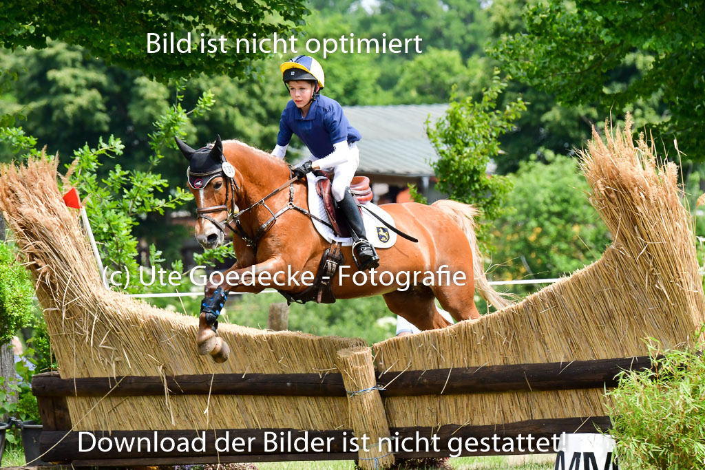 Goldene Schärpe Ponys in Löningen  4+5.6.22 | 04062022 - Gelände  2 Abt _370 