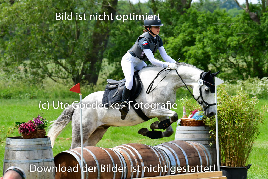 Goldene Schärpe Ponys in Löningen  4+5.6.22 | 04062022 - Gelände  2 Abt _373 