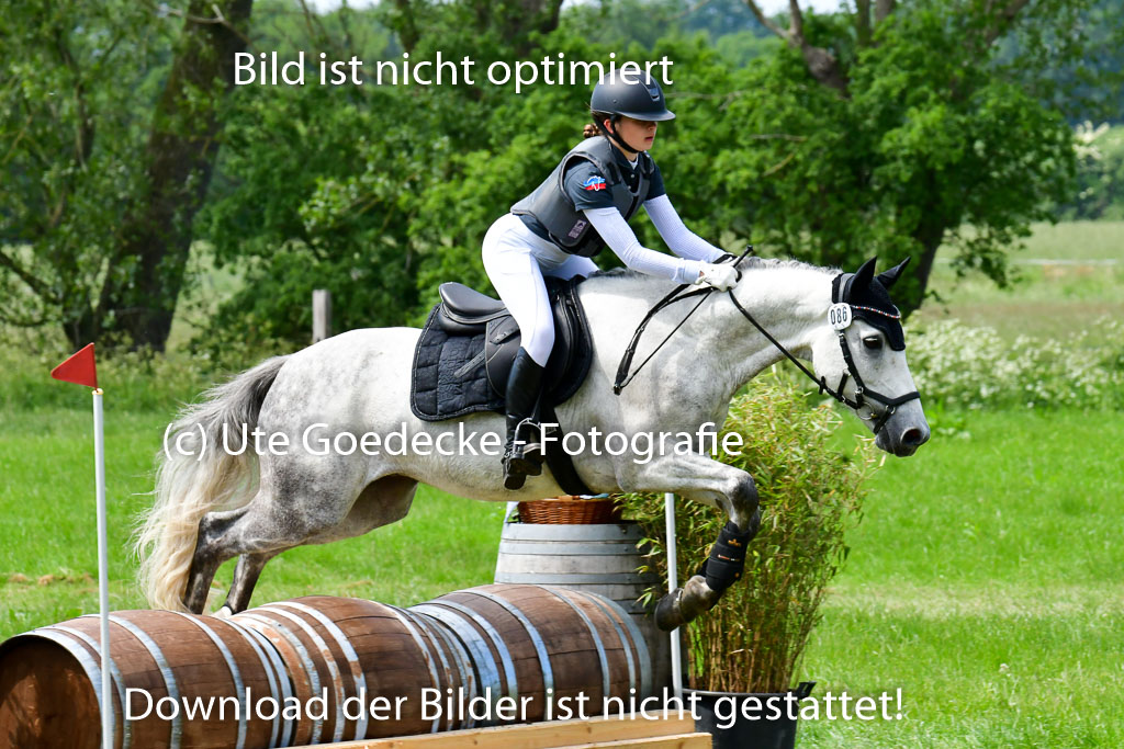 Goldene Schärpe Ponys in Löningen  4+5.6.22 | 04062022 - Gelände  2 Abt _374 