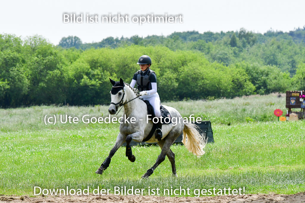 Goldene Schärpe Ponys in Löningen  4+5.6.22 | 04062022 - Gelände  2 Abt _377 