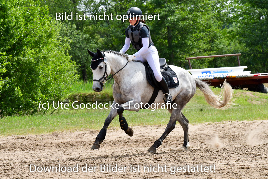 Goldene Schärpe Ponys in Löningen  4+5.6.22 | 04062022 - Gelände  2 Abt _380 