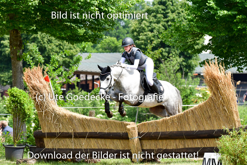 Goldene Schärpe Ponys in Löningen  4+5.6.22 | 04062022 - Gelände  2 Abt _384 