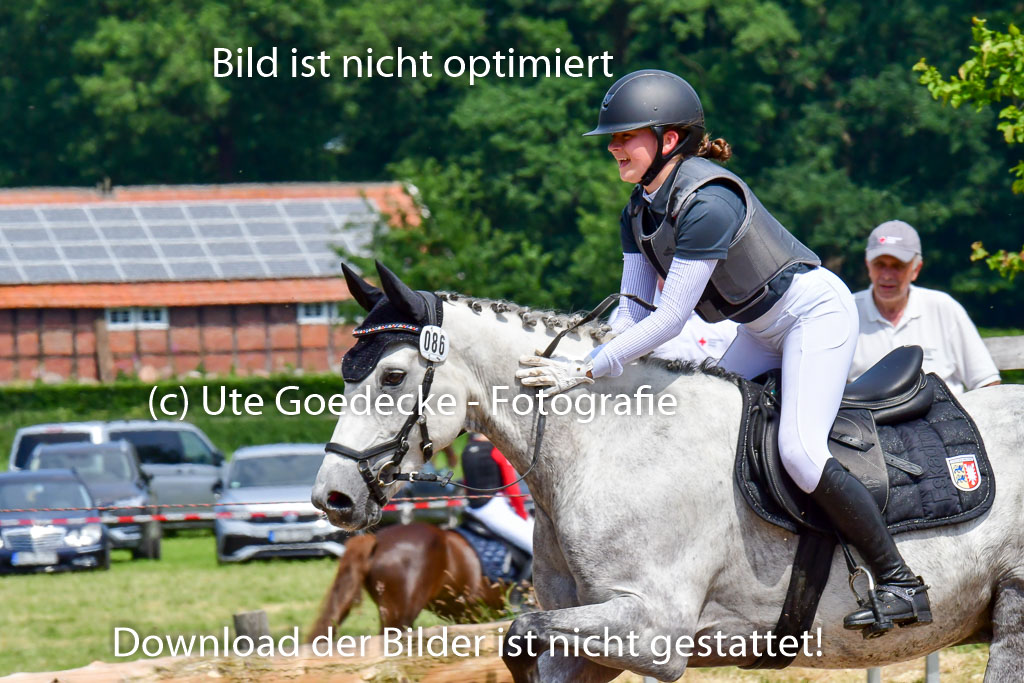 Goldene Schärpe Ponys in Löningen  4+5.6.22 | 04062022 - Gelände  2 Abt _386 