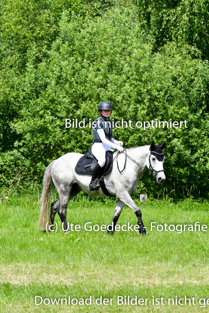 Goldene Schärpe Ponys in Löningen  4+5.6.22 | 04062022 - Gelände  2 Abt _387 