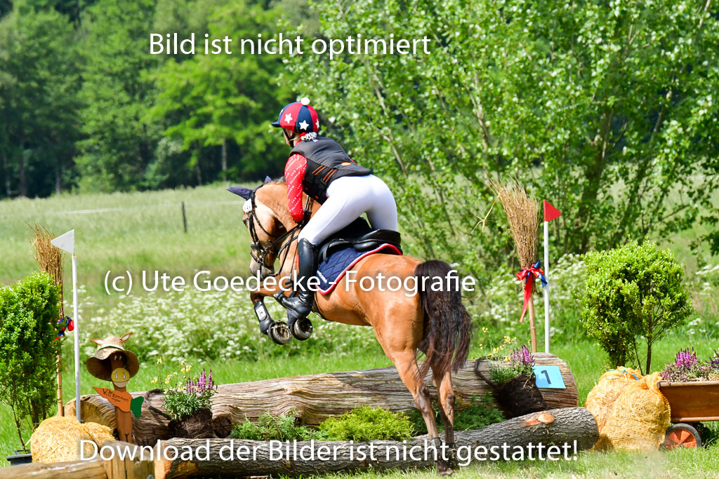 Goldene Schärpe Ponys in Löningen  4+5.6.22 | 04062022 - Gelände  2 Abt _390 