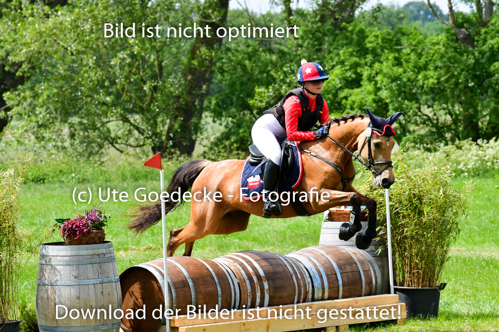 Goldene Schärpe Ponys in Löningen  4+5.6.22 | 04062022 - Gelände  2 Abt _391 