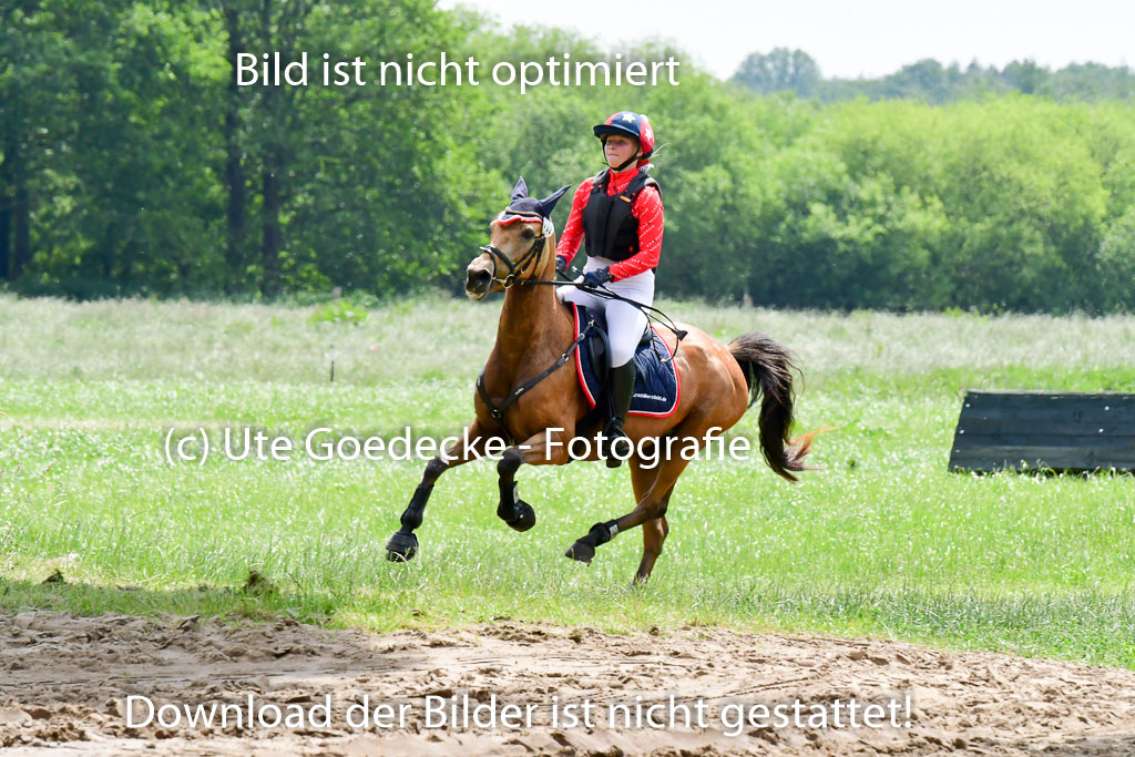 Goldene Schärpe Ponys in Löningen  4+5.6.22 | 04062022 - Gelände  2 Abt _398 
