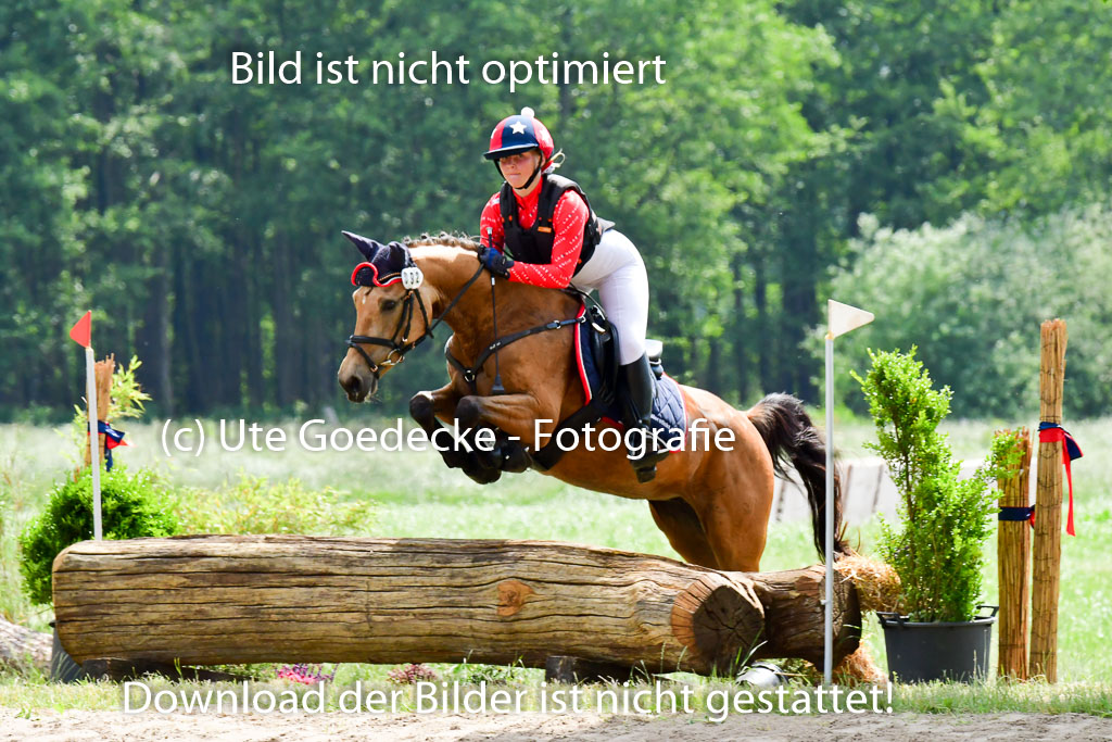 Goldene Schärpe Ponys in Löningen  4+5.6.22 | 04062022 - Gelände  2 Abt _399 