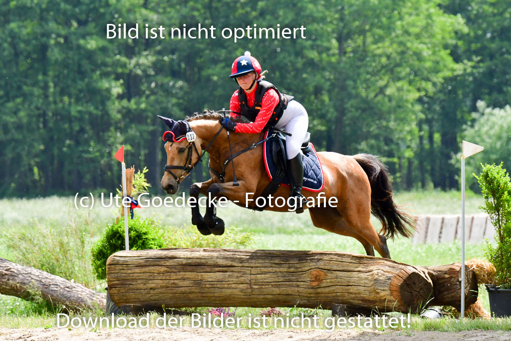 Goldene Schärpe Ponys in Löningen  4+5.6.22 | 04062022 - Gelände  2 Abt _400 