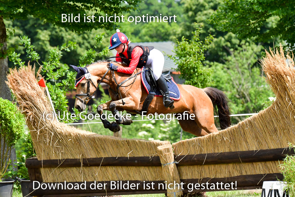 Goldene Schärpe Ponys in Löningen  4+5.6.22 | 04062022 - Gelände  2 Abt _404 