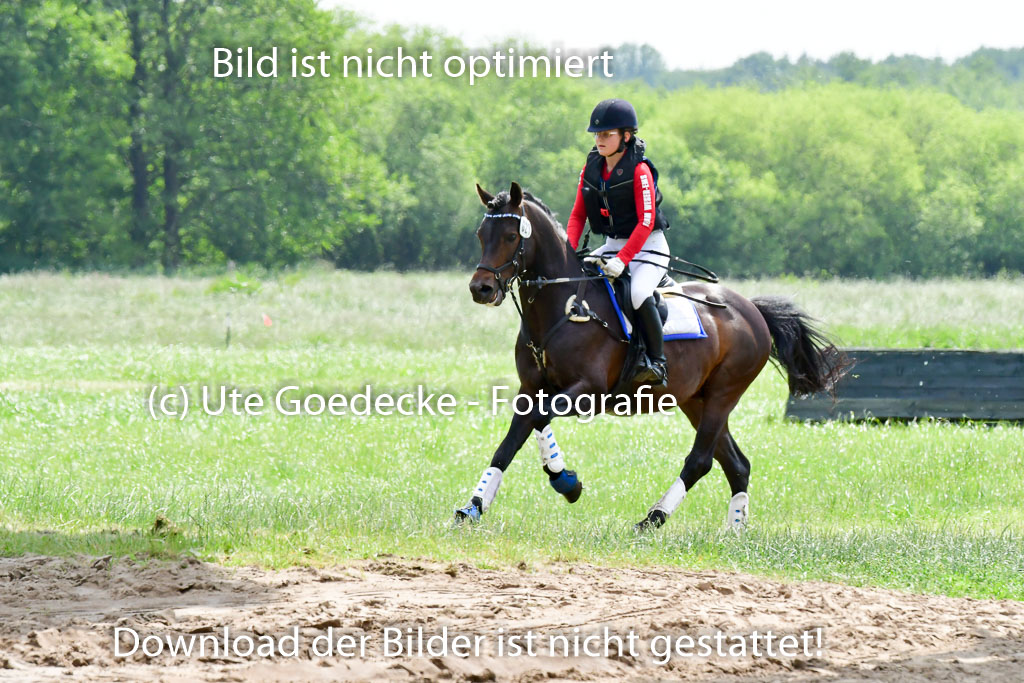 Goldene Schärpe Ponys in Löningen  4+5.6.22 | 04062022 - Gelände  2 Abt _413 