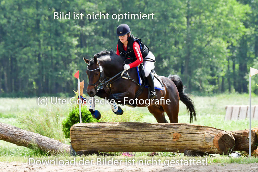 Goldene Schärpe Ponys in Löningen  4+5.6.22 | 04062022 - Gelände  2 Abt _414 