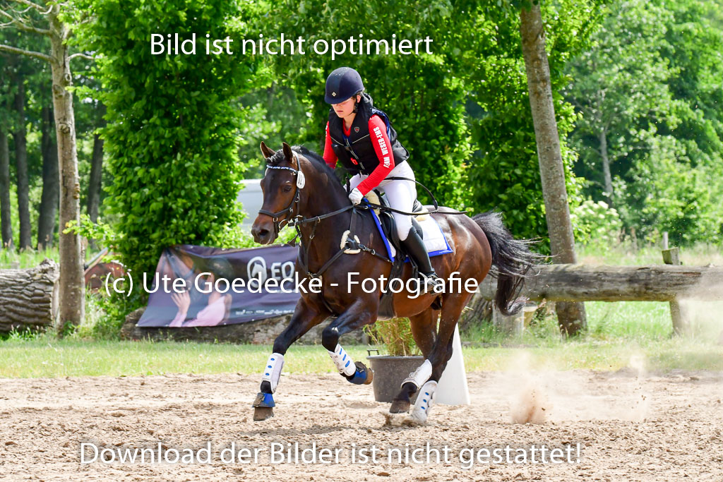 Goldene Schärpe Ponys in Löningen  4+5.6.22 | 04062022 - Gelände  2 Abt _415 