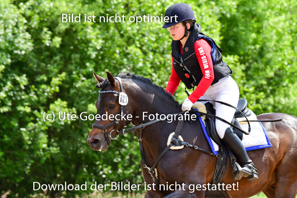 Goldene Schärpe Ponys in Löningen  4+5.6.22 | 04062022 - Gelände  2 Abt _417 