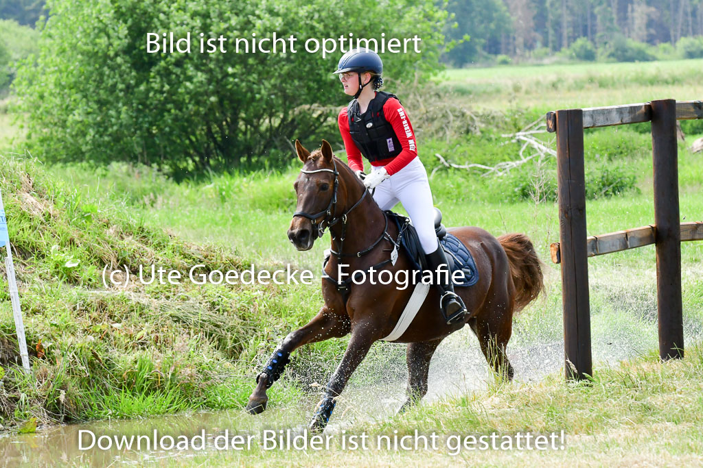 Goldene Schärpe Ponys in Löningen  4+5.6.22 | 04062022 - Gelände  2 Abt _425 