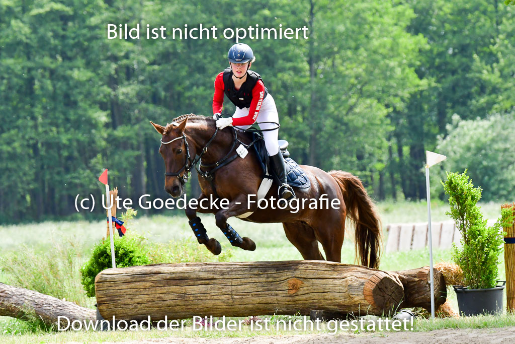 Goldene Schärpe Ponys in Löningen  4+5.6.22 | 04062022 - Gelände  2 Abt _426 