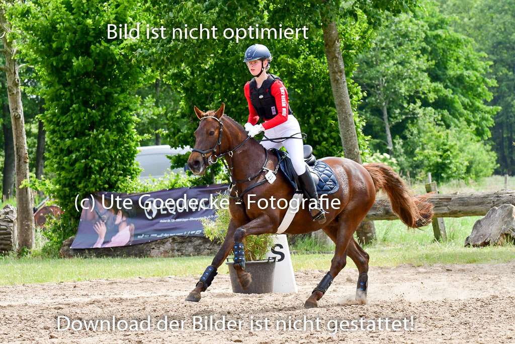 Goldene Schärpe Ponys in Löningen  4+5.6.22 | 04062022 - Gelände  2 Abt _427 