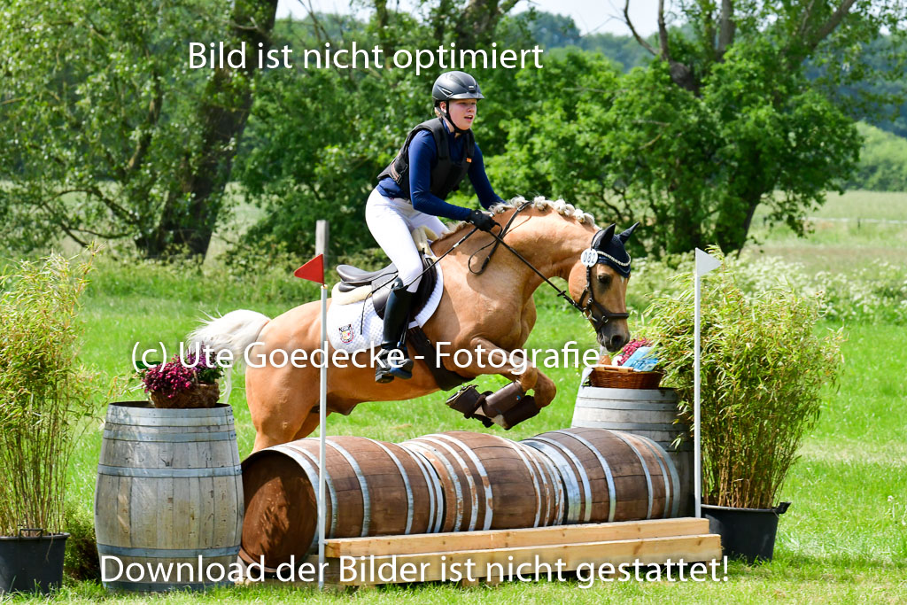 Goldene Schärpe Ponys in Löningen  4+5.6.22 | 04062022 - Gelände  2 Abt _434 