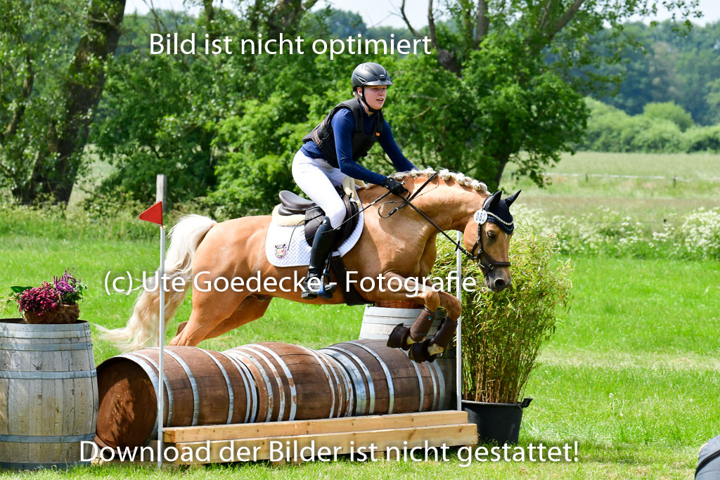 Goldene Schärpe Ponys in Löningen  4+5.6.22 | 04062022 - Gelände  2 Abt _435 
