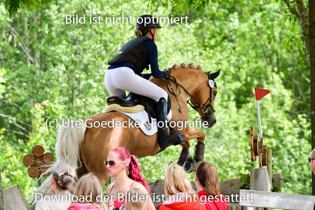 Goldene Schärpe Ponys in Löningen  4+5.6.22 | 04062022 - Gelände  2 Abt _436 