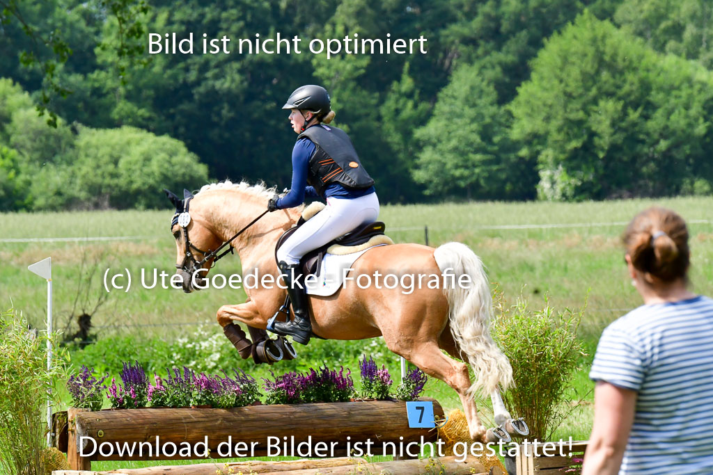 Goldene Schärpe Ponys in Löningen  4+5.6.22 | 04062022 - Gelände  2 Abt _437 