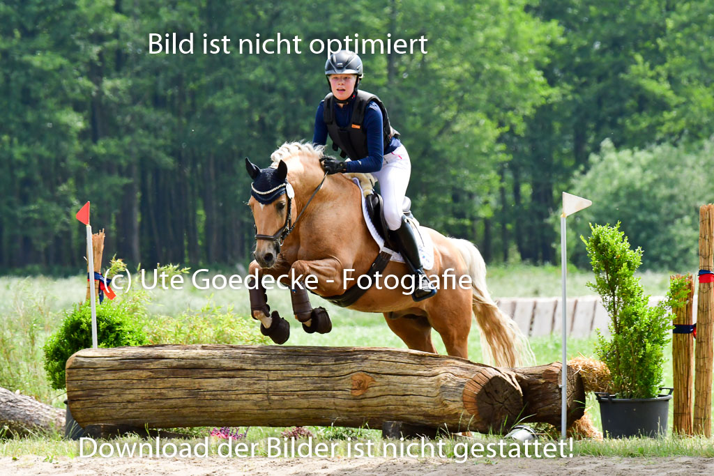 Goldene Schärpe Ponys in Löningen  4+5.6.22 | 04062022 - Gelände  2 Abt _441 