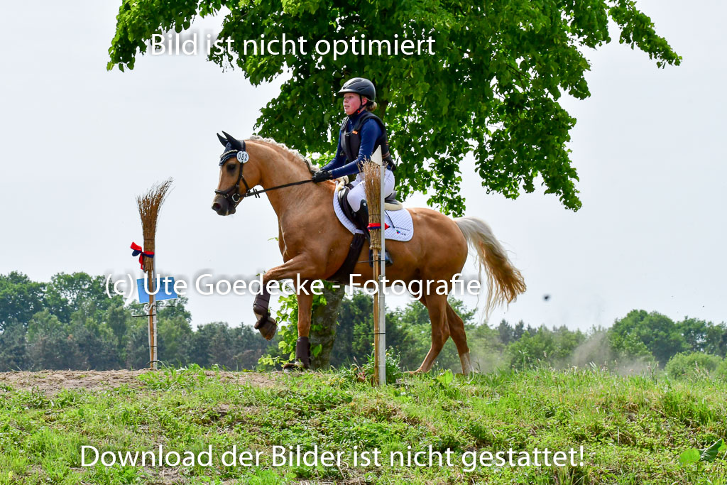 Goldene Schärpe Ponys in Löningen  4+5.6.22 | 04062022 - Gelände  2 Abt _444 