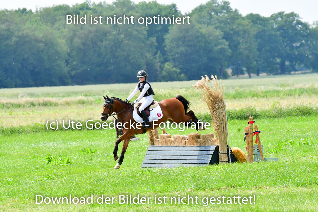 Goldene Schärpe Ponys in Löningen  4+5.6.22 | 04062022 - Gelände  2 Abt _453 