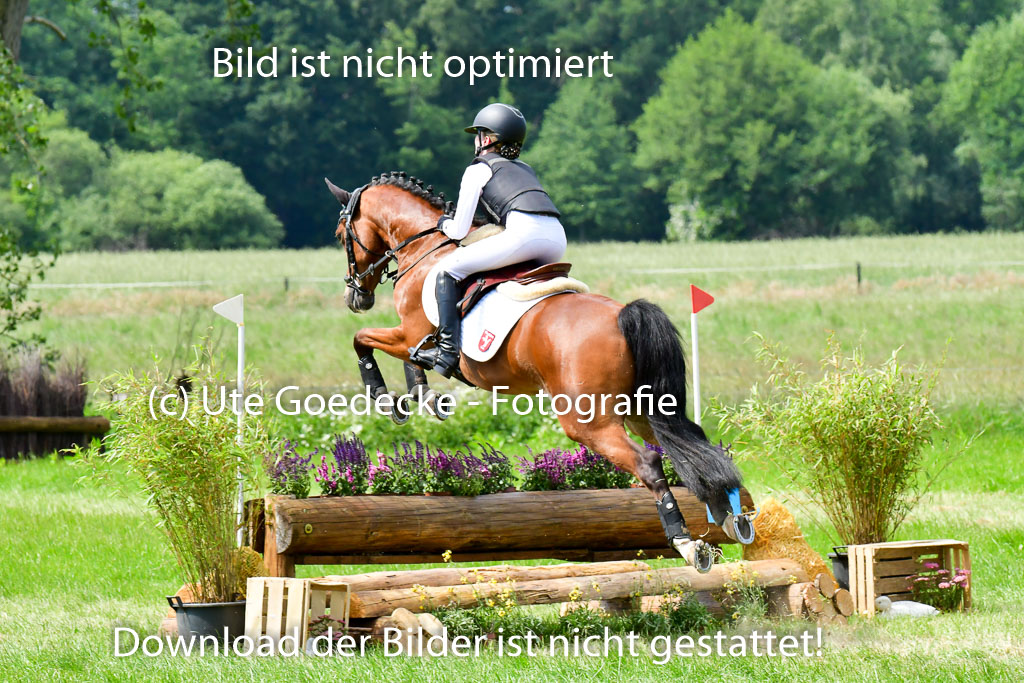 Goldene Schärpe Ponys in Löningen  4+5.6.22 | 04062022 - Gelände  2 Abt _456 