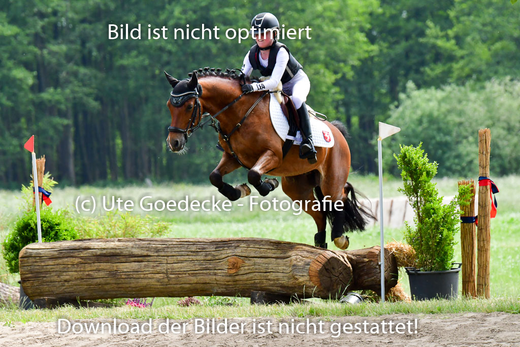 Goldene Schärpe Ponys in Löningen  4+5.6.22 | 04062022 - Gelände  2 Abt _459 