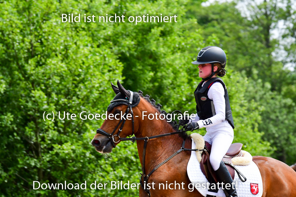 Goldene Schärpe Ponys in Löningen  4+5.6.22 | 04062022 - Gelände  2 Abt _462 