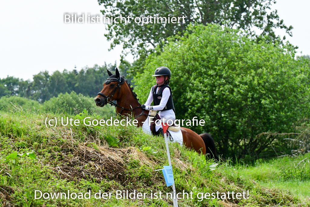 Goldene Schärpe Ponys in Löningen  4+5.6.22 | 04062022 - Gelände  2 Abt _463 