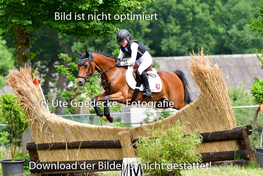 Goldene Schärpe Ponys in Löningen  4+5.6.22 | 04062022 - Gelände  2 Abt _464 