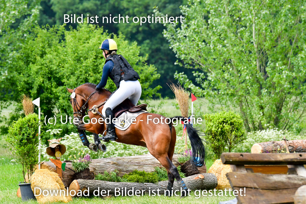 Goldene Schärpe Ponys in Löningen  4+5.6.22 | 04062022 - Gelände  2 Abt _472 