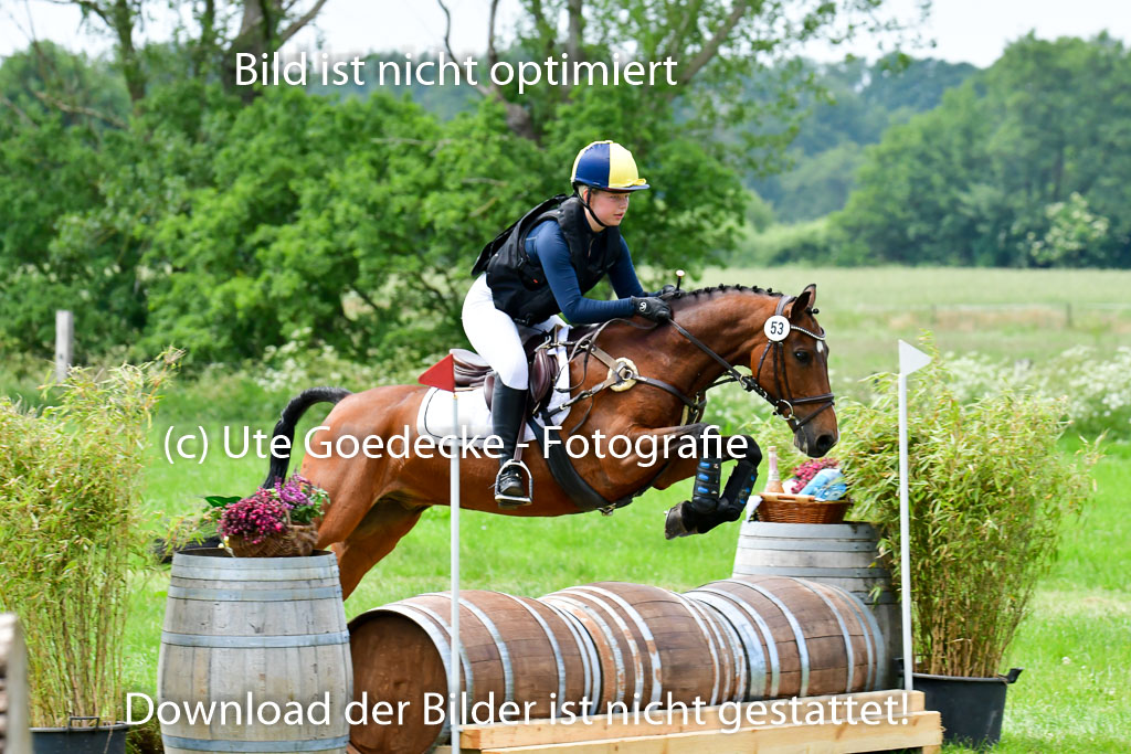 Goldene Schärpe Ponys in Löningen  4+5.6.22 | 04062022 - Gelände  2 Abt _474 