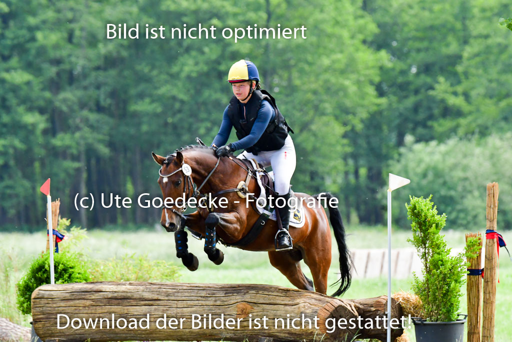 Goldene Schärpe Ponys in Löningen  4+5.6.22 | 04062022 - Gelände  2 Abt _476 
