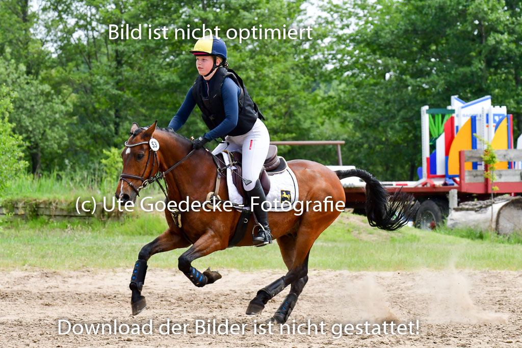 Goldene Schärpe Ponys in Löningen  4+5.6.22 | 04062022 - Gelände  2 Abt _477 