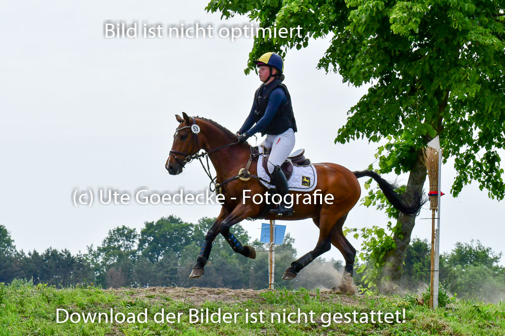 Goldene Schärpe Ponys in Löningen  4+5.6.22 | 04062022 - Gelände  2 Abt _479 
