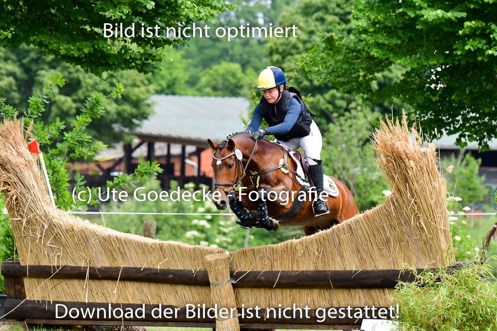 Goldene Schärpe Ponys in Löningen  4+5.6.22 | 04062022 - Gelände  2 Abt _480 