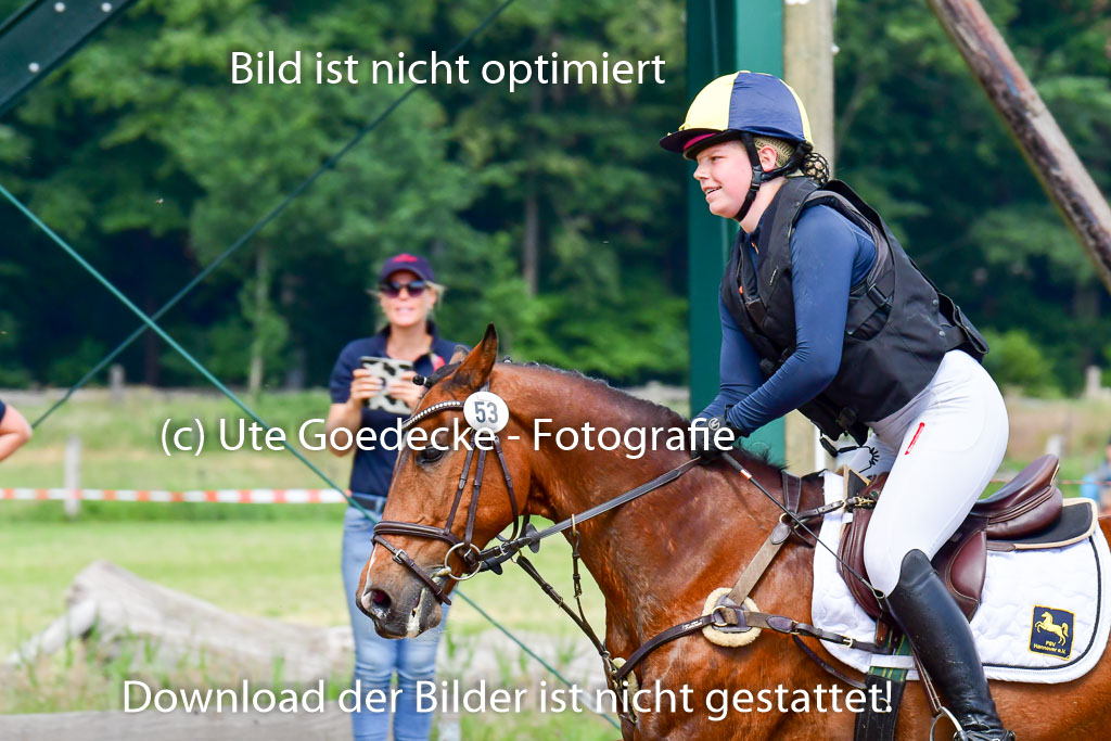 Goldene Schärpe Ponys in Löningen  4+5.6.22 | 04062022 - Gelände  2 Abt _484 