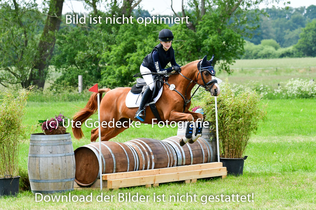 Goldene Schärpe Ponys in Löningen  4+5.6.22 | 04062022 - Gelände  2 Abt _489 