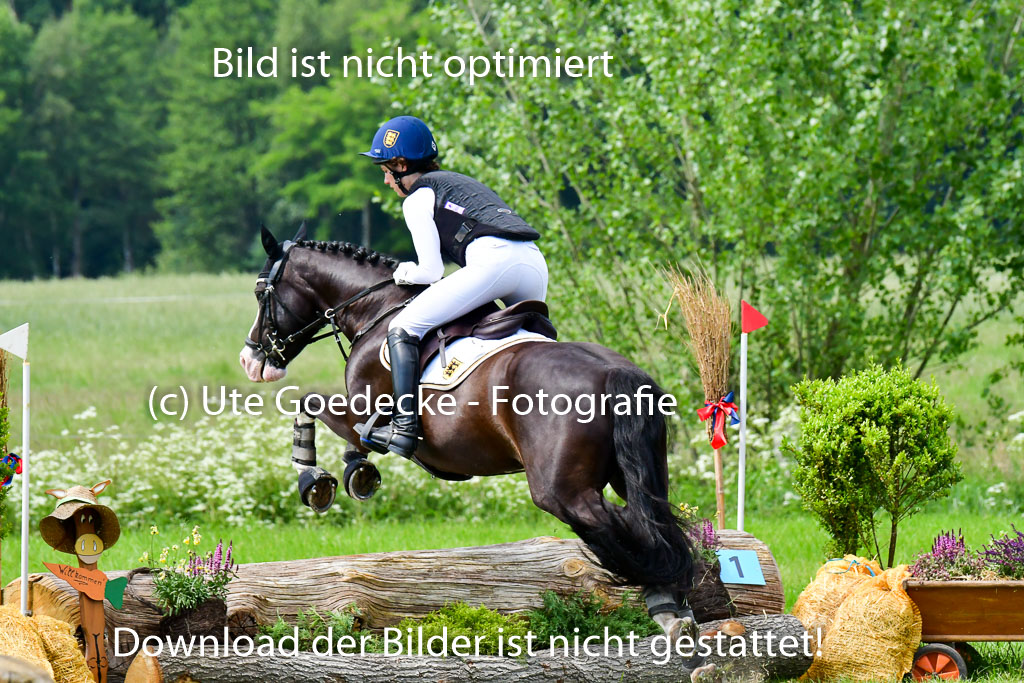 Goldene Schärpe Ponys in Löningen  4+5.6.22 | 04062022 - Gelände  2 Abt _490 