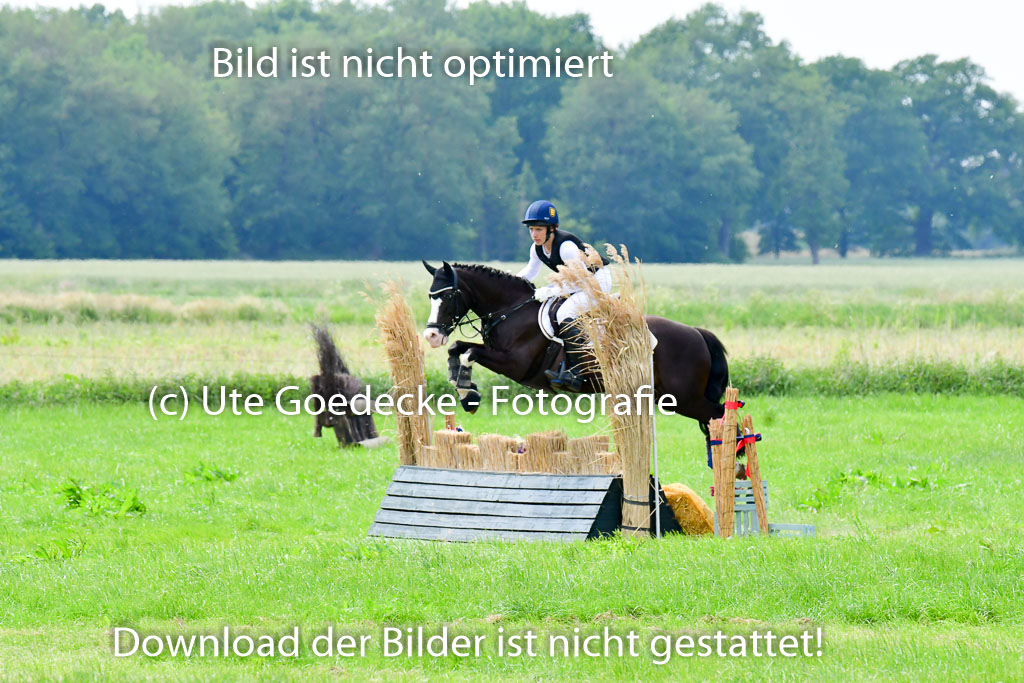 Goldene Schärpe Ponys in Löningen  4+5.6.22 | 04062022 - Gelände  2 Abt _491 