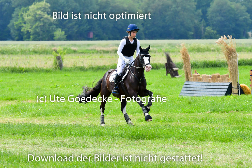 Goldene Schärpe Ponys in Löningen  4+5.6.22 | 04062022 - Gelände  2 Abt _492 