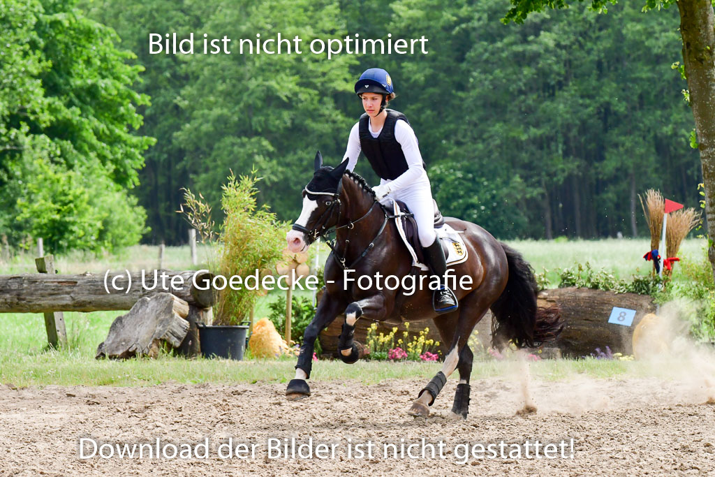 Goldene Schärpe Ponys in Löningen  4+5.6.22 | 04062022 - Gelände  2 Abt _499 