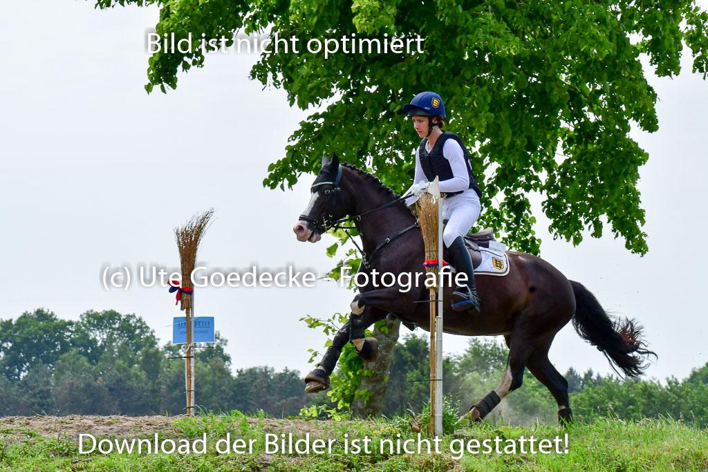 Goldene Schärpe Ponys in Löningen  4+5.6.22 | 04062022 - Gelände  2 Abt _502 