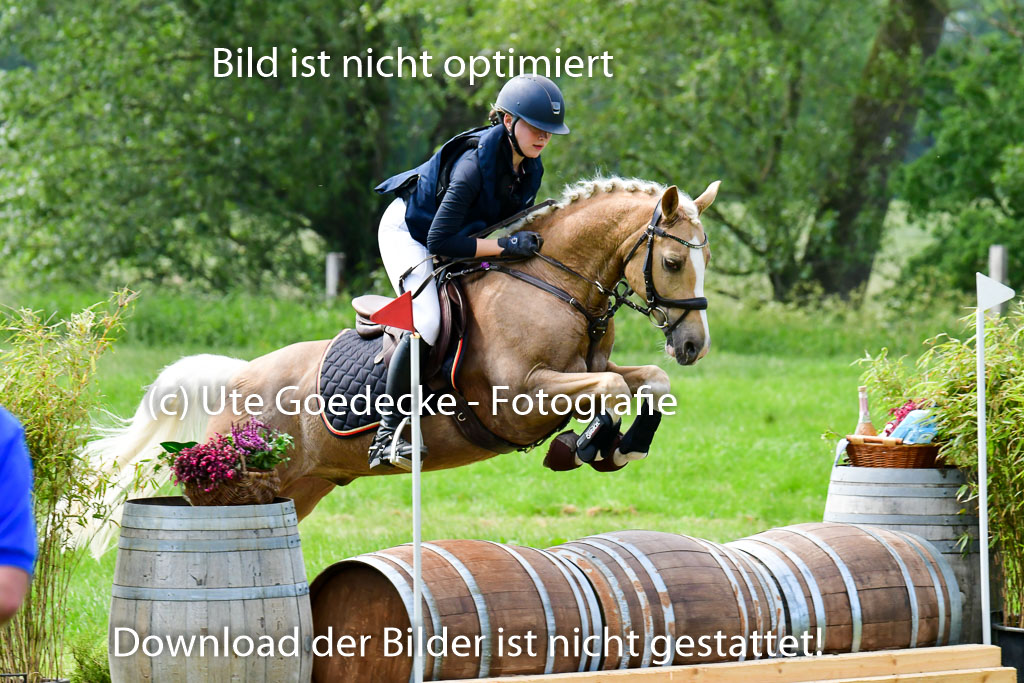 Goldene Schärpe Ponys in Löningen  4+5.6.22 | 04062022 - Gelände  2 Abt _509 