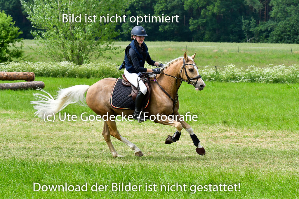 Goldene Schärpe Ponys in Löningen  4+5.6.22 | 04062022 - Gelände  2 Abt _510 
