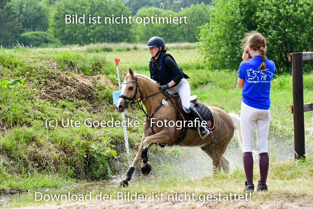 Goldene Schärpe Ponys in Löningen  4+5.6.22 | 04062022 - Gelände  2 Abt _512 