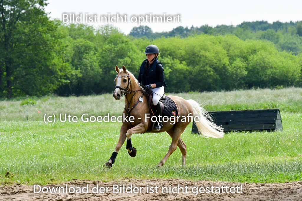 Goldene Schärpe Ponys in Löningen  4+5.6.22 | 04062022 - Gelände  2 Abt _513 